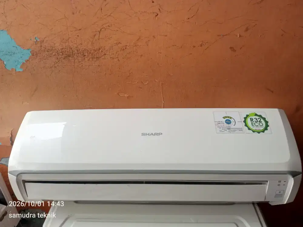 Indoor Sharp 1/2 pk