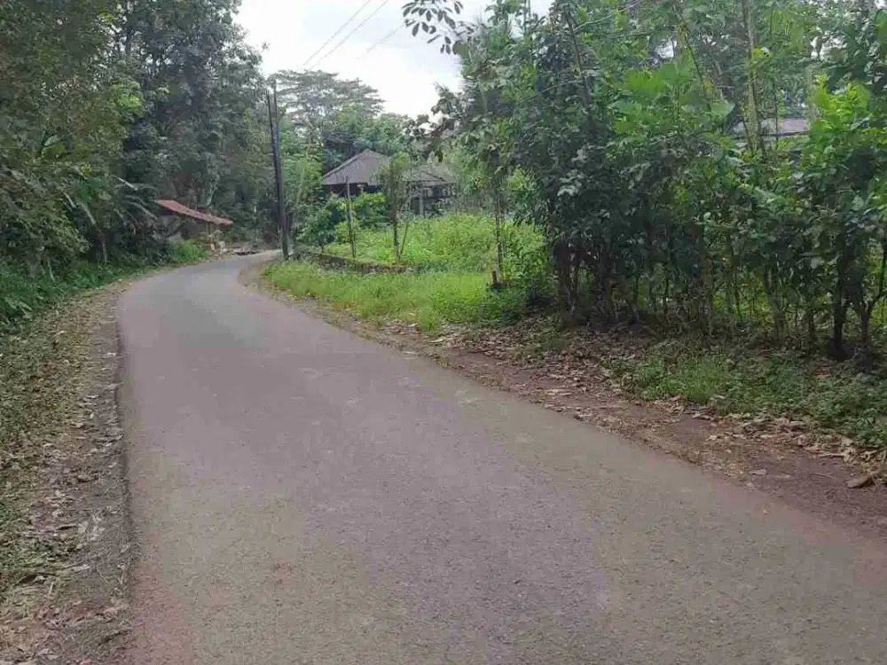 Kebun 1.420 m2 Dekat Lembur Pakuan Subang
