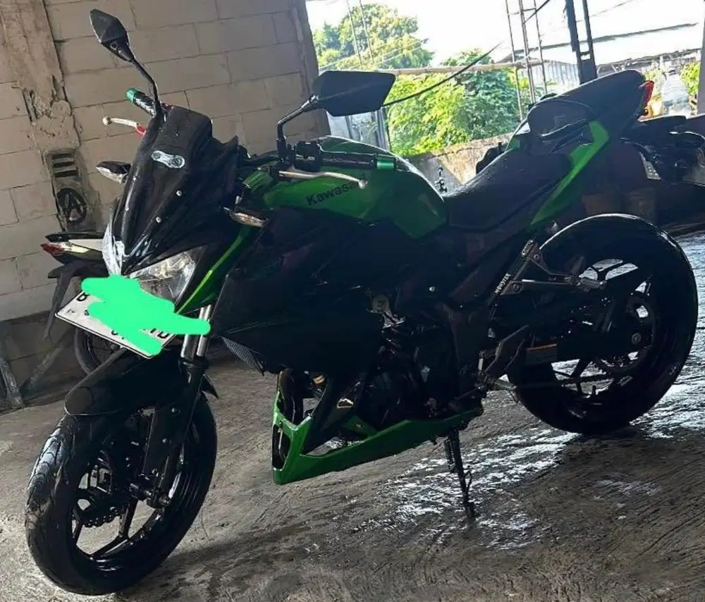 Kawasaki 250 cc