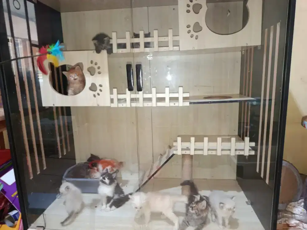 Cat villa pintu kaca