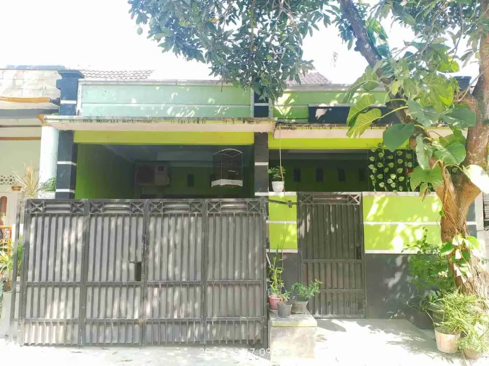 jual rumah 2 lantai deket polda banten