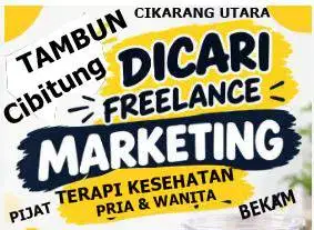 Marketing freelance TERAPI KESEHATAN