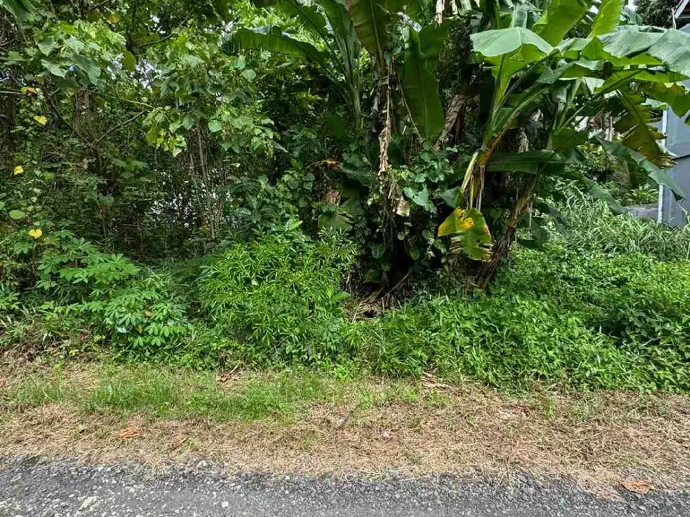 Tanah 200m² Lingkungan Villa Lotunduh Ubud