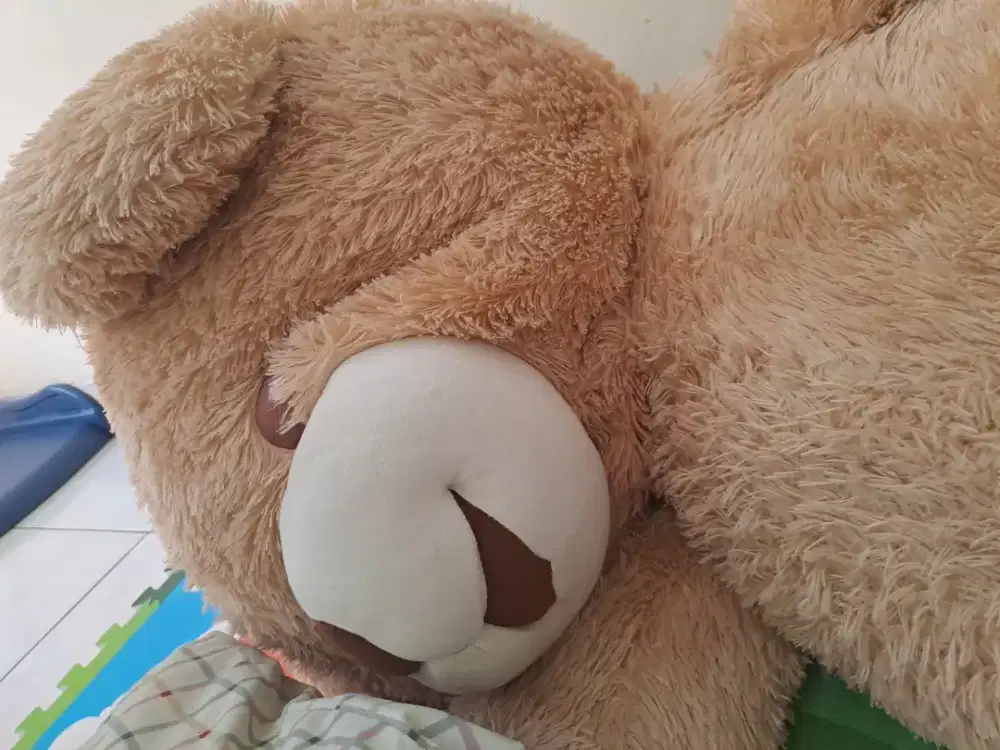 Dibutuhkan Pengasuh Bayi