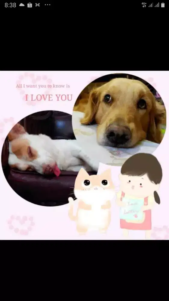 Tempat Titip Hewan Peliharaan Kucing / Anjing