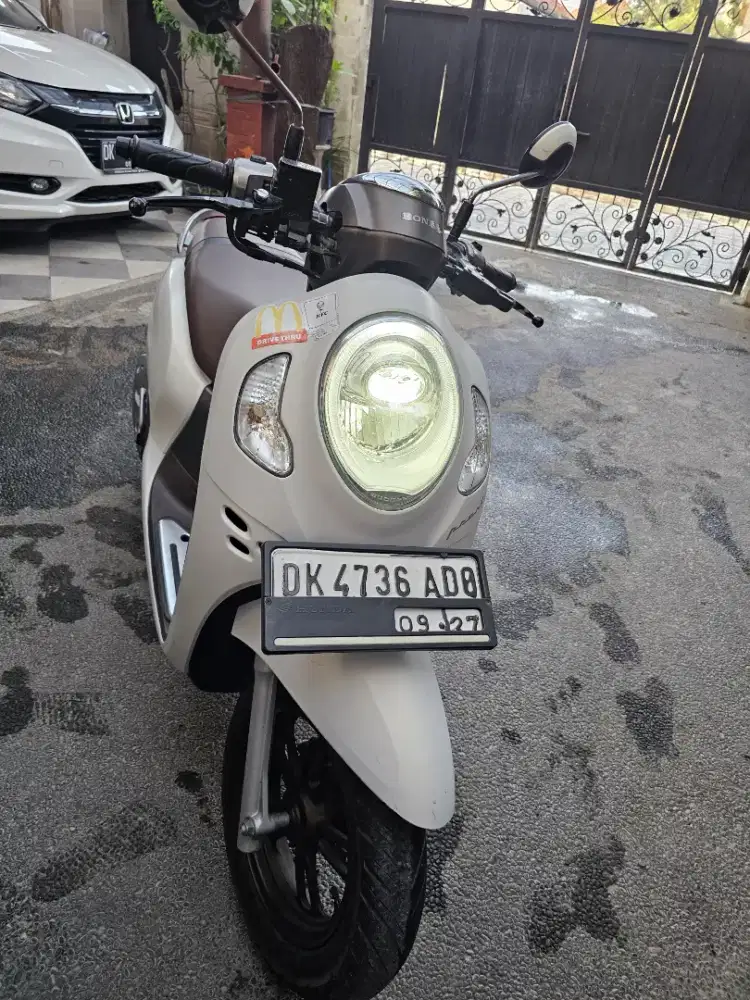 Scoopy thn 2022