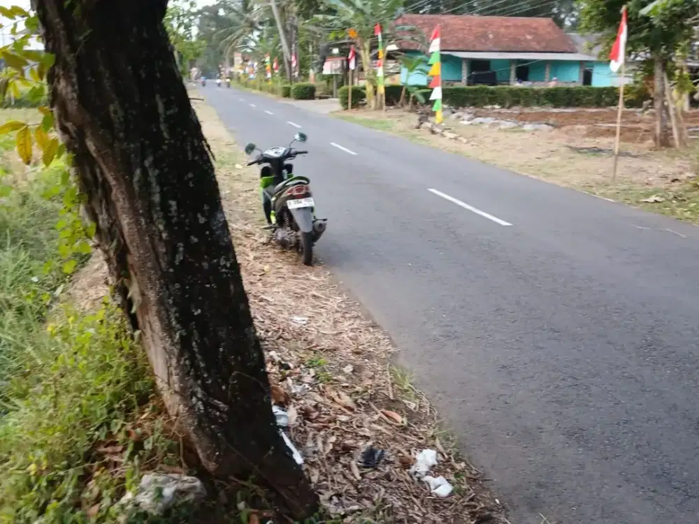 Dijual Sawah Sumbersari, Purworejo
