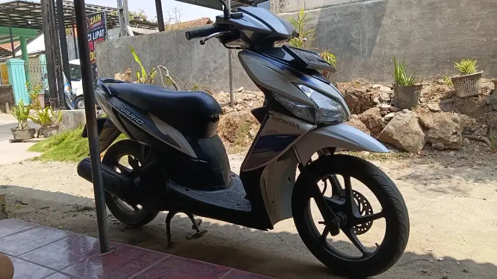 Vario kebo mulus