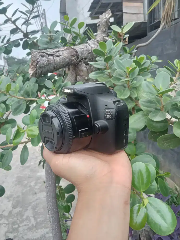 Canon 1200d Lensa Fix