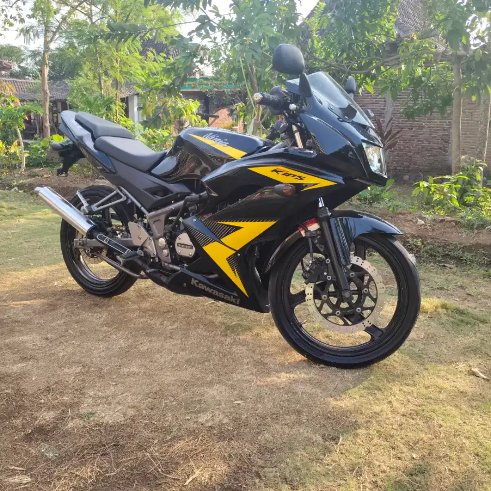 For sale Ninja Rr