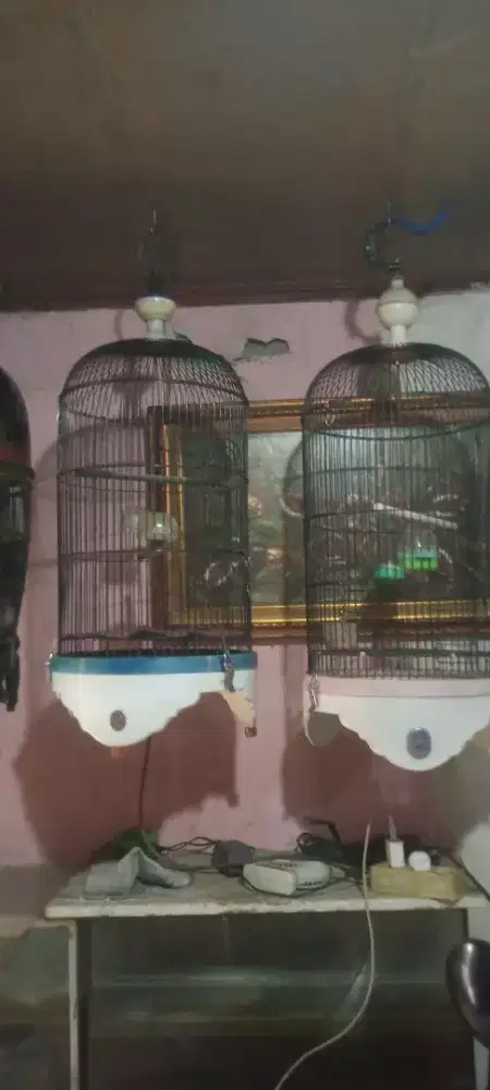 Jual cepat 2 unit  kandng seken ebot jaya