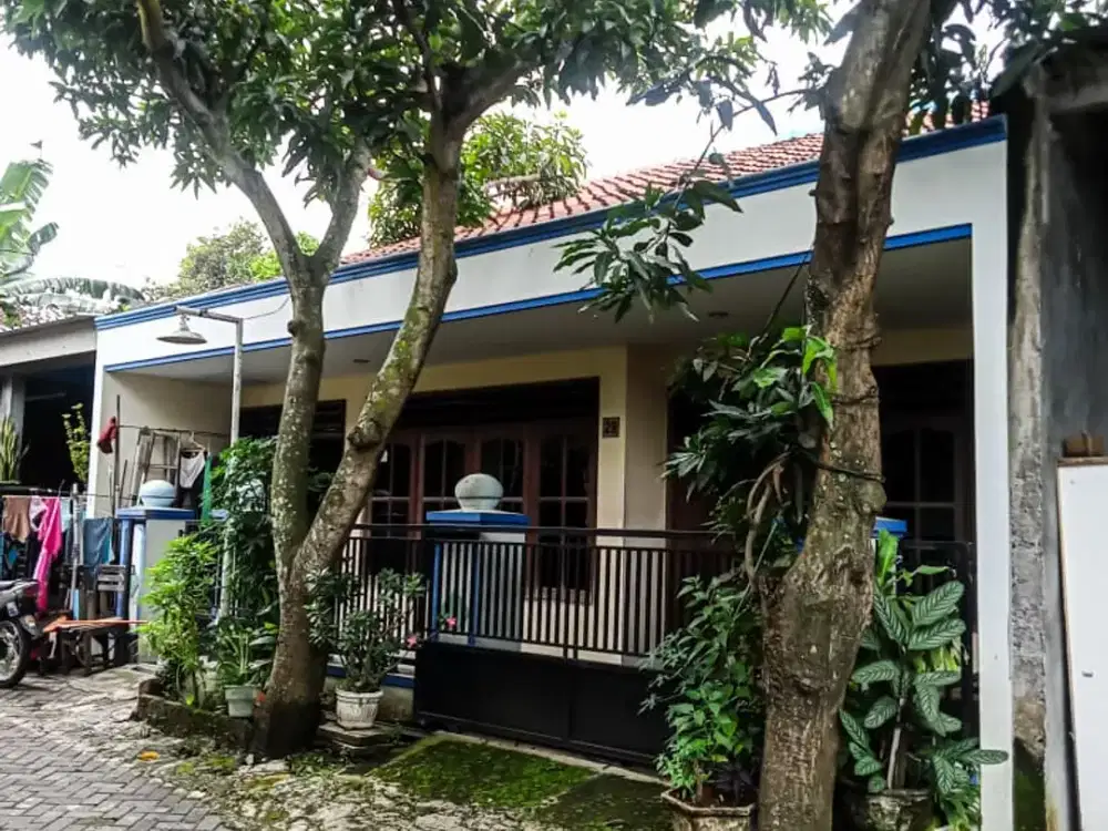 Rumah Jl. Tandang Semarang