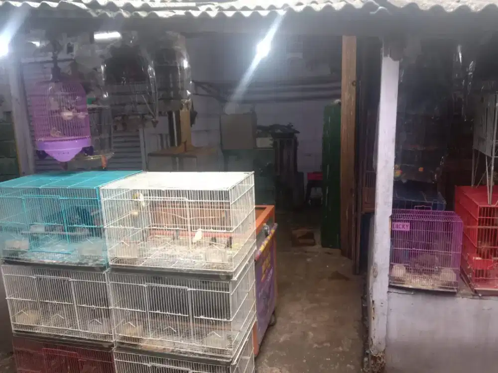 DIJUAL CEPAT KIOS PASAR BURUNG SUKAHAJI