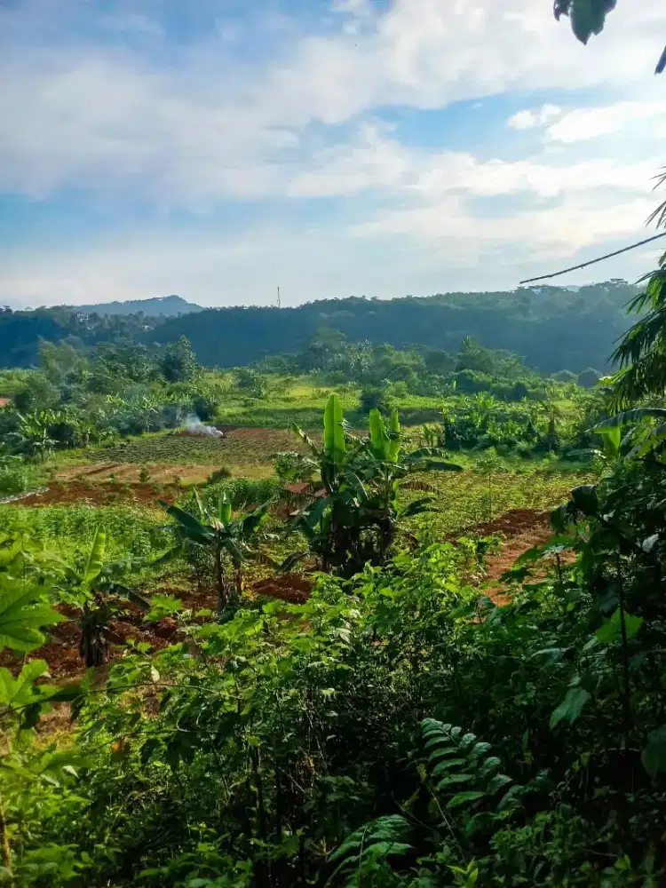 CARI LAHAN UNTUK PERUMAHAN? 5 HEKTAR SHM DI RANCABUNGUR
LAHAN BESAR,