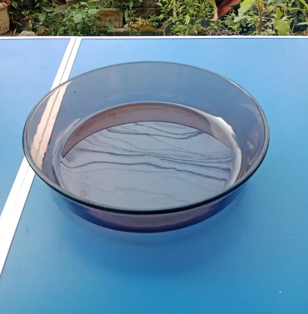 Piring saji Pyrex Cranberry
