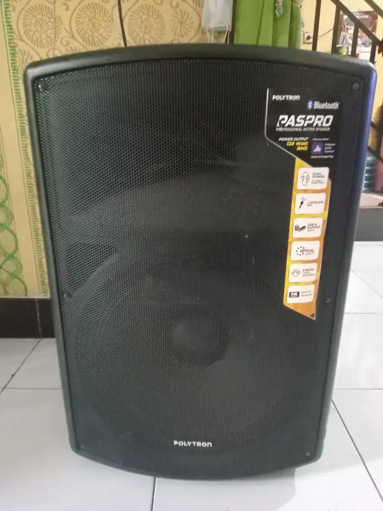 SPEAKER POLYTRON PASPRO