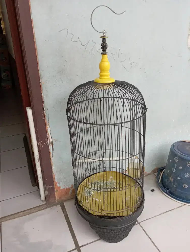 Kandang kapsul burung lovebird
