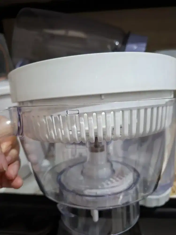Blender Philips Mulus