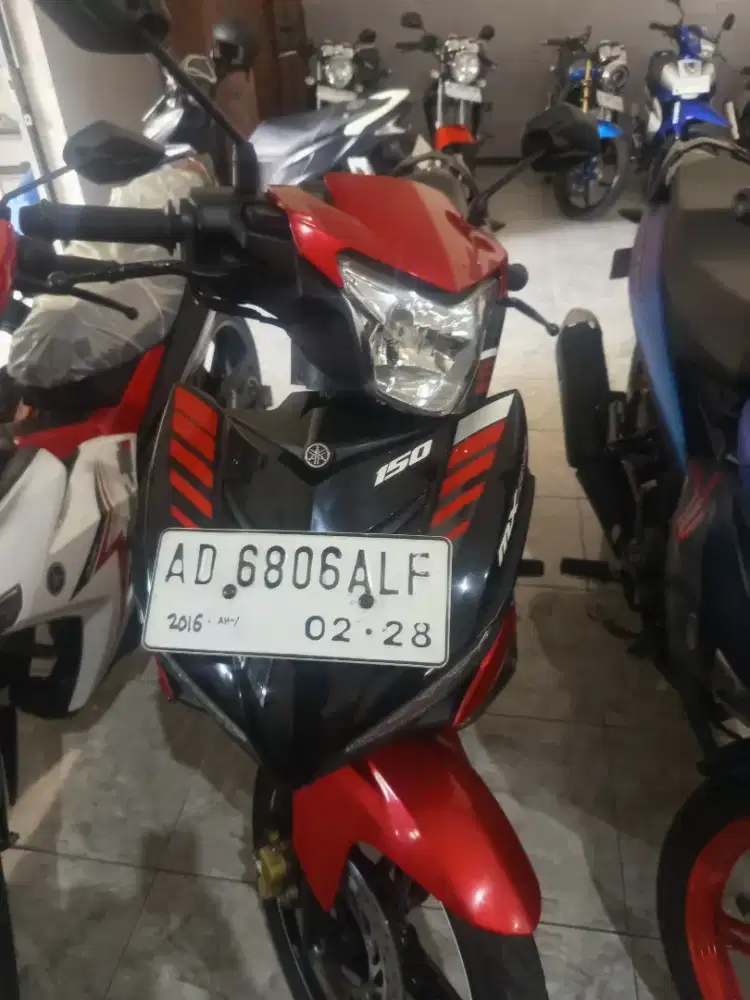 Jual mx king 2018