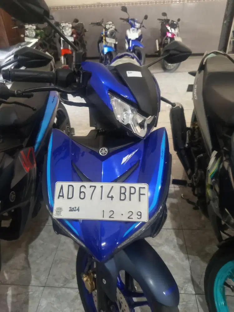 Jual mx king 2024