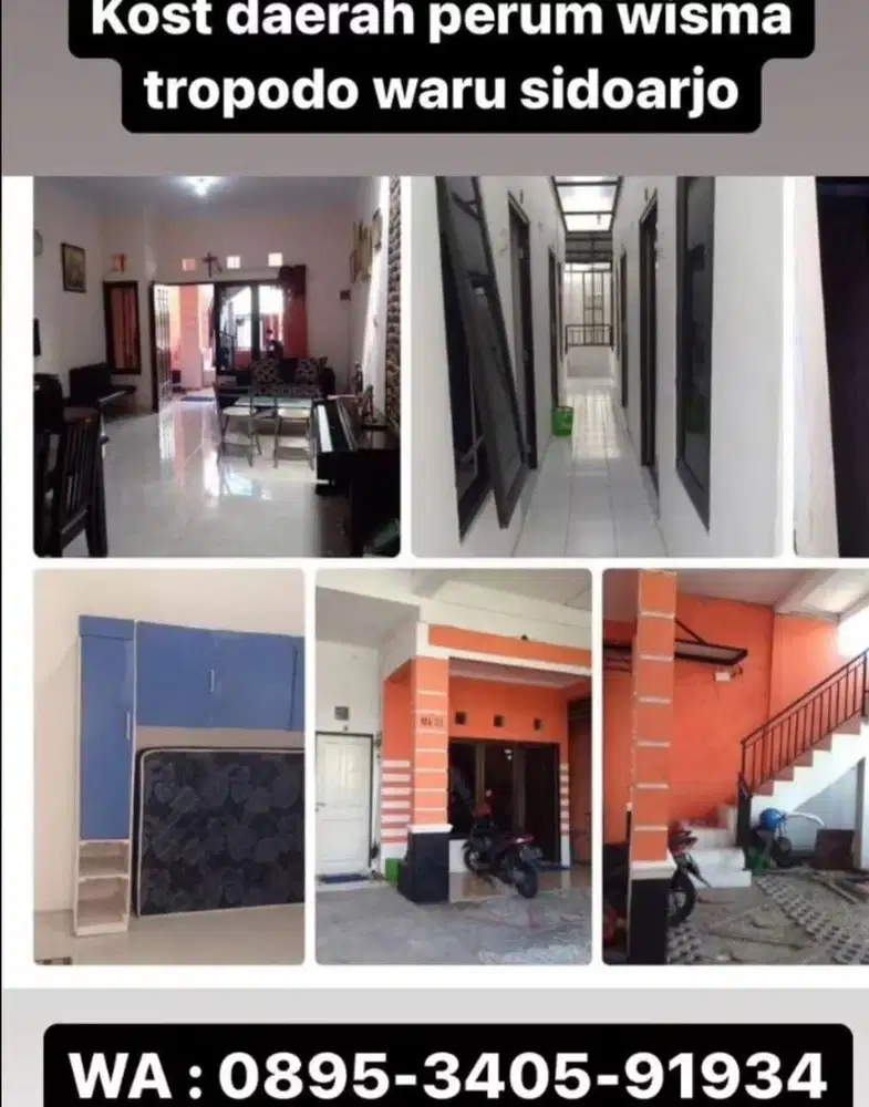 Kos cewek wisma tropodo