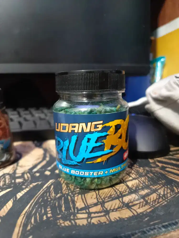 udang blue bosbosqu