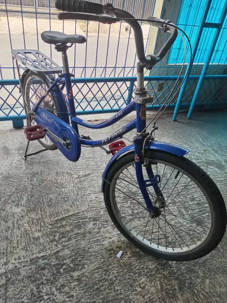Cewe ukuran 20x175 siap goes