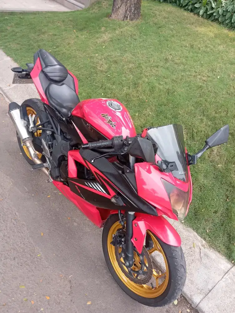 For sale KAWASAKI NINJA RR MONO