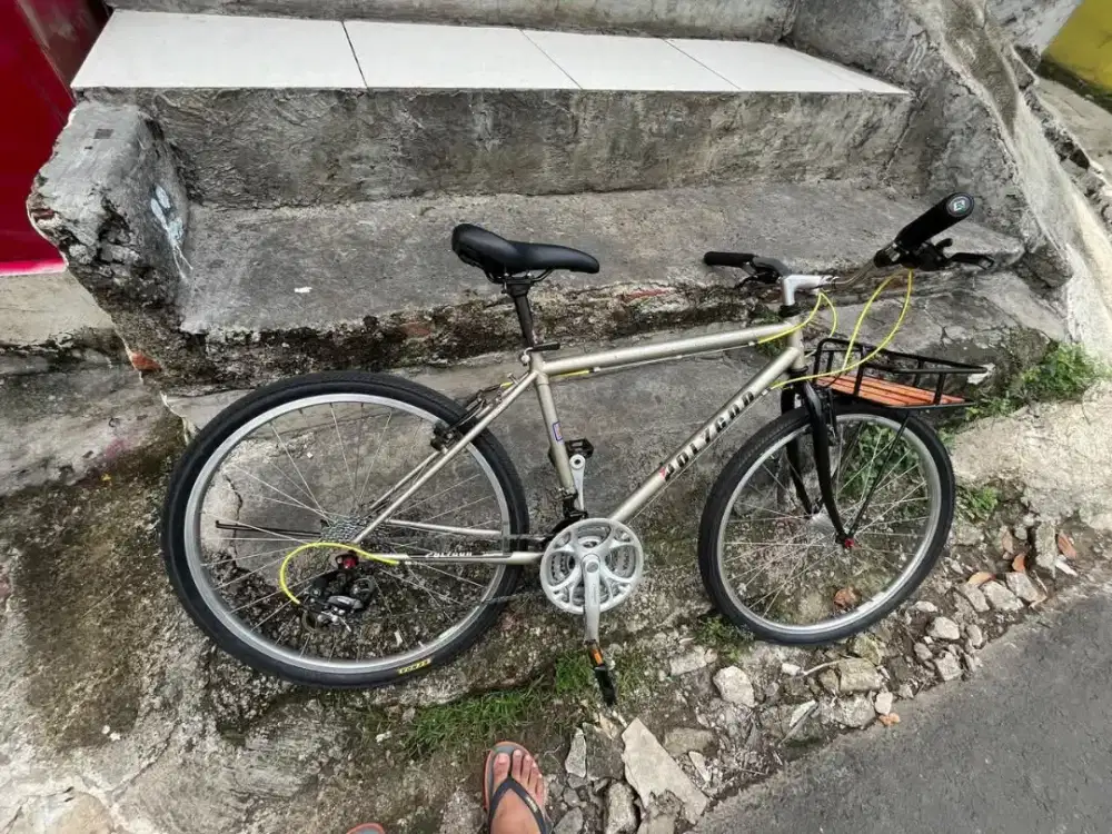 Sepeda Retro Polygon