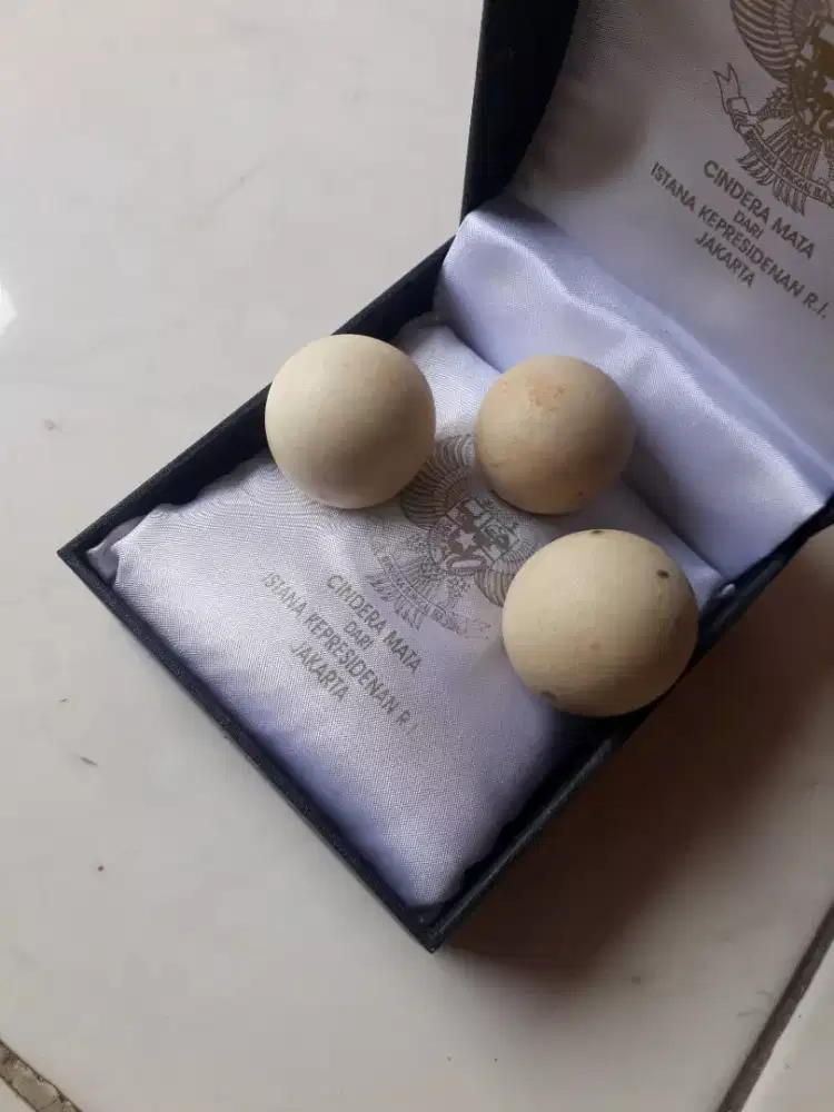 Batu Anti Racun Sidola