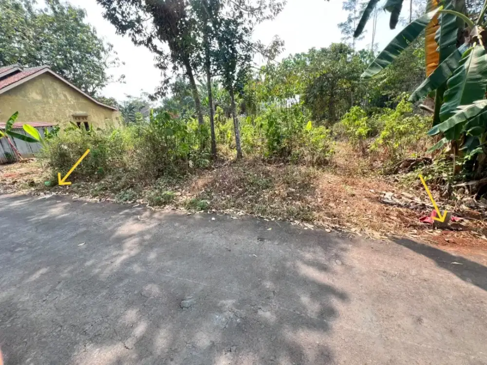 Dijual tanah SHM di daerah kajen