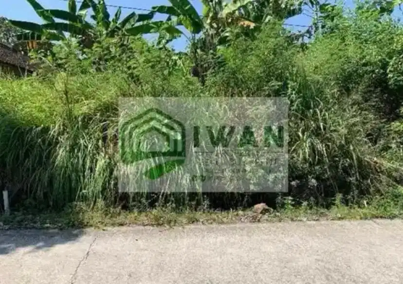 Tanah Pekarangan Murah Hadap Jalan Lebar