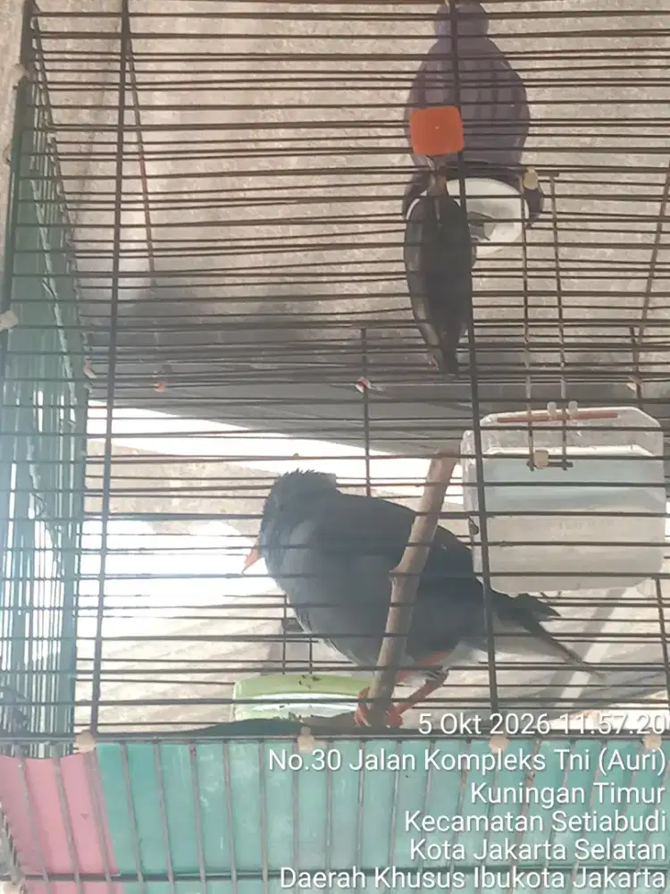 JUAL SANTAI SAMBIL NGOPI