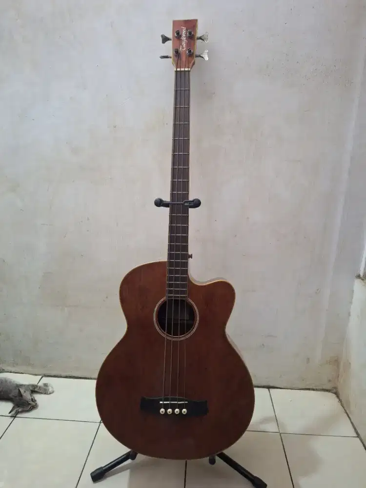 Tanglewood Evolution Exotic TAB 1 CE XB Acoustic Bass (2012)