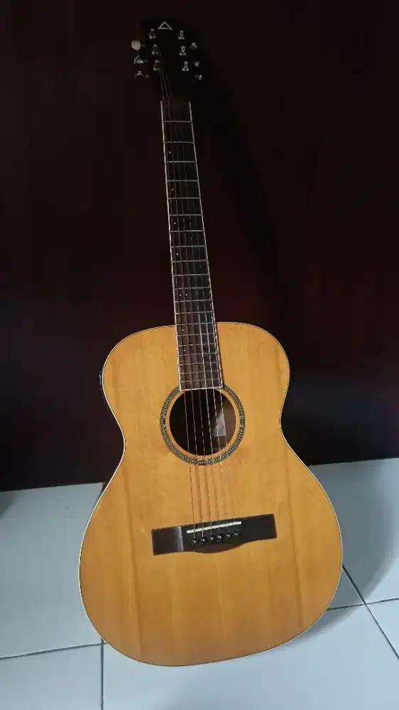 Gitar Anderson original Akustik elektrik Ase 10 nam ukuran 3/6 langka