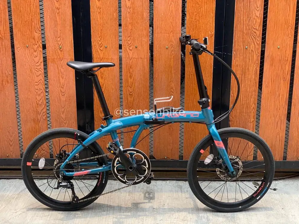 Polygon Urbano 5 2024