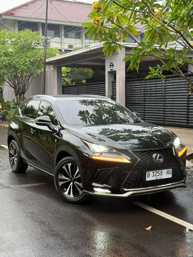 [CASH] Termurah NX300 Fsport LOW KM 2018 Lexus tt F Sport Luxury ori