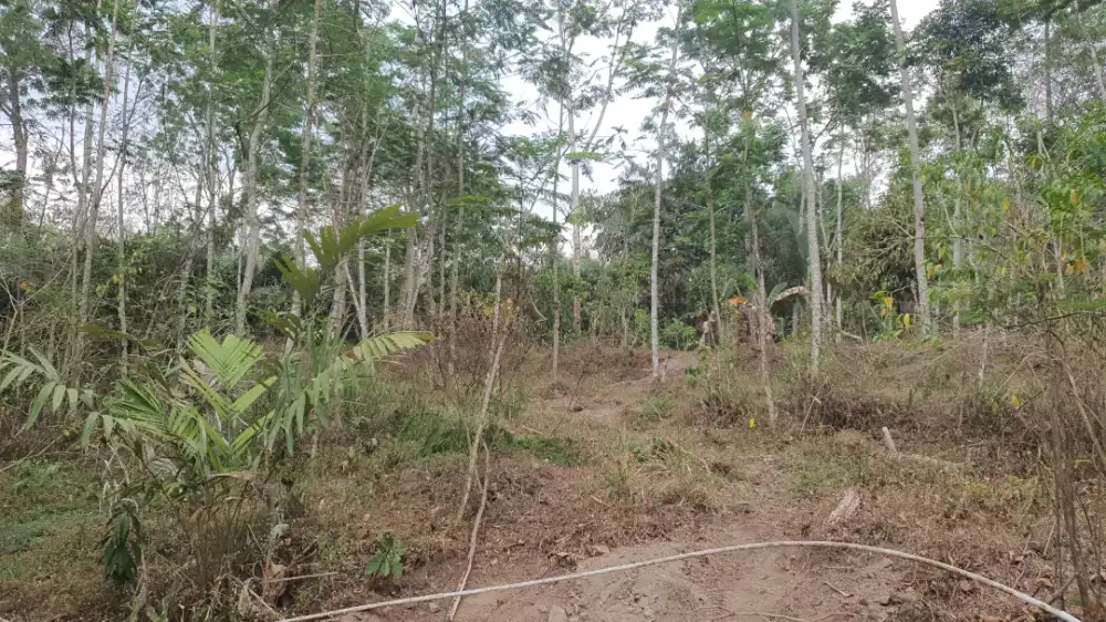 Dijual Tanah pekarangan