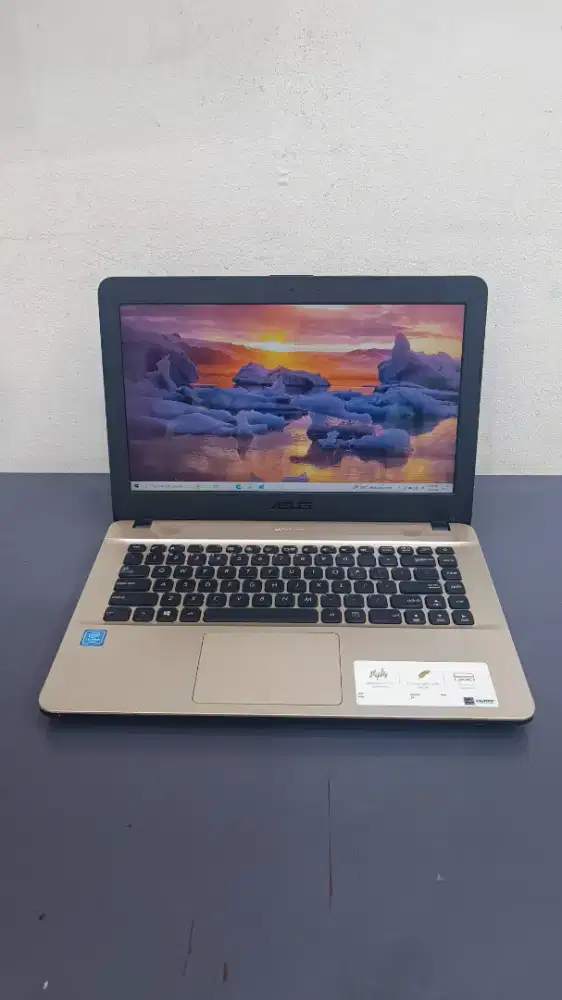 Asus vivobook X441MAR