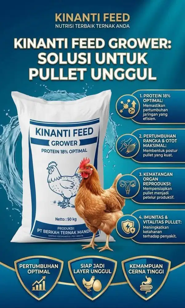 Pakan ayam ( grower)