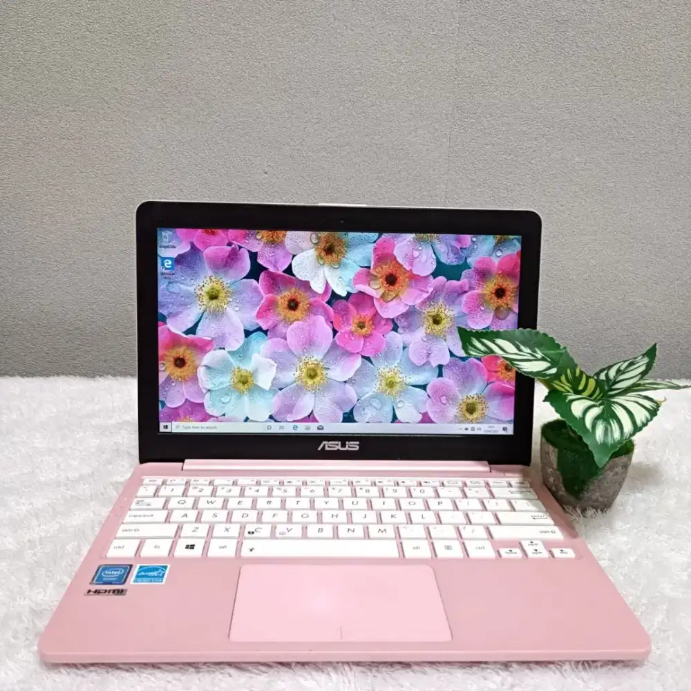 ASUS 203MA INTEL N4000 RAM 2GB HDD 500GB LAYAR 11.6 INCH PINK