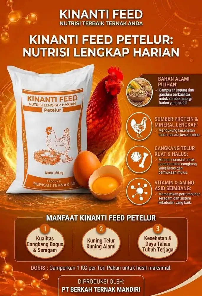 Pakan ayam petelur ( layer)