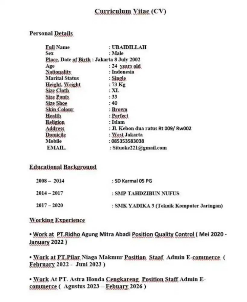 SAYA SEDANG MEMBUTUHKAN PEKERJAAN DI BIDANG ECOMMERCE DLL