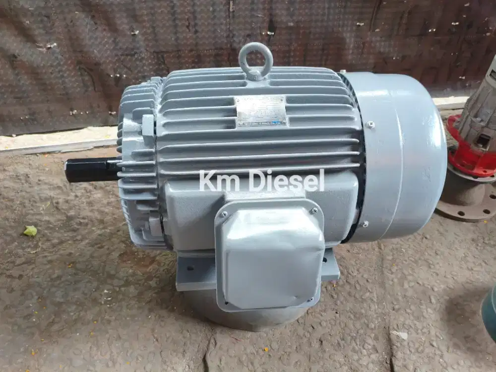 Dinamo Teco 30 HP RPM 1455 / Elektromotor Teco 30HP RPM 1455