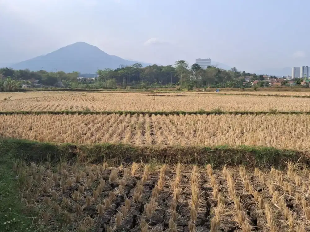 DIJUAL MURAH TANAH JATINANGOR SUMEDANG COCOK BUAT INVESTASI, DIBANGUN PERUMAHAN, KOSTAN, RUMAH TINGGAL