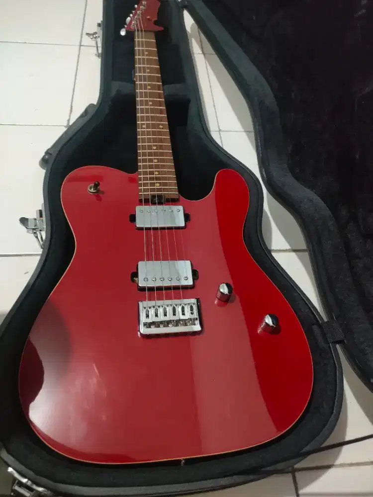 Gitar Homer model Telecuster