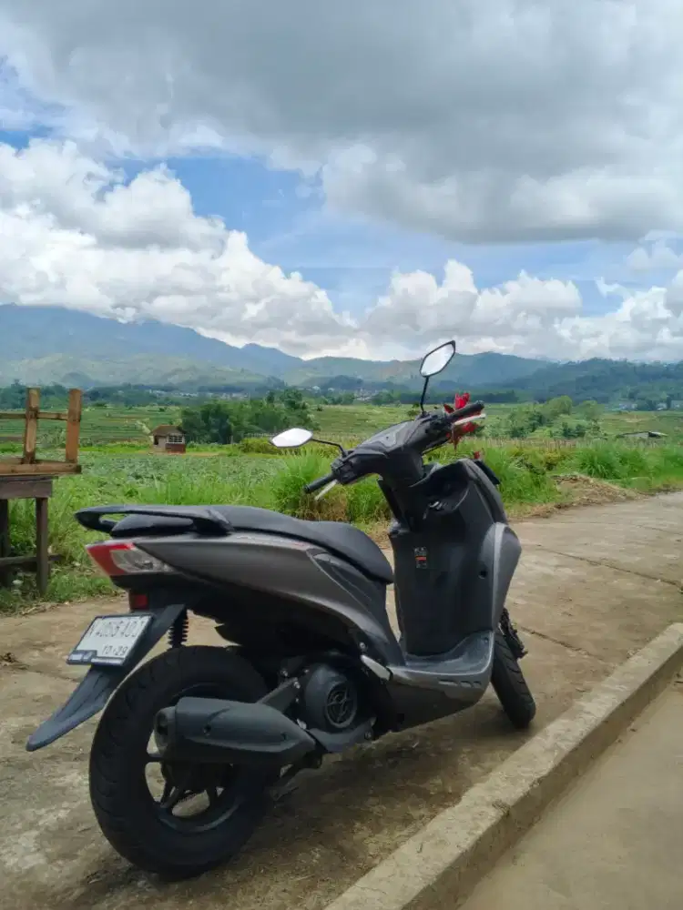 Yamaha Freego S 2019