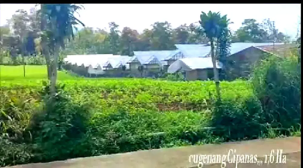 FOR SALE MURAH — LAHAN 1,6 HA VIEW GUNUNG GEDE & PANGRANGO
