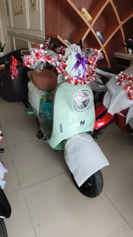 Sepeda Listrik Baru  Type NU S2 NYRA