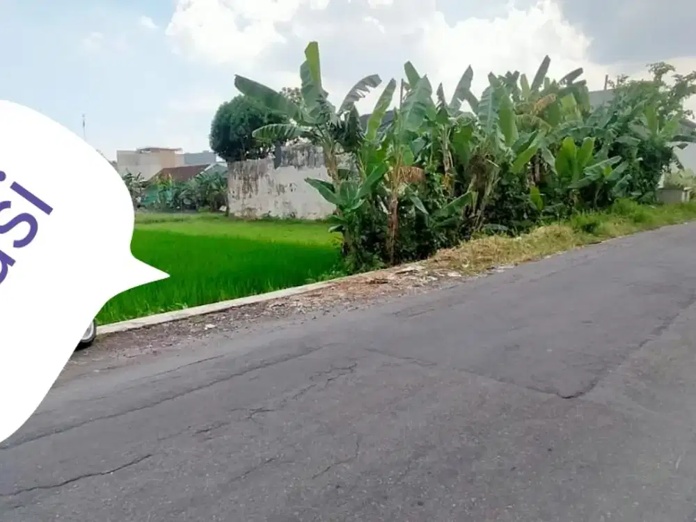 Jual termurah tanah perkarangan memangku jalan utama condong catur sleman jogja